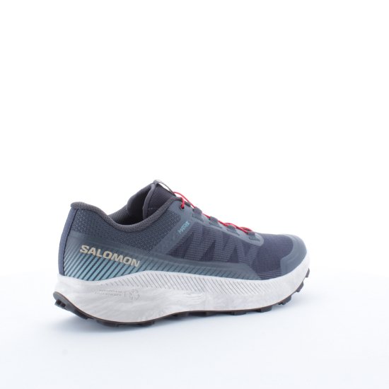 SALOMON - VISION MIXTE