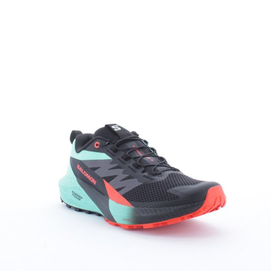 SALOMON - SENSE RIDE 5 HOMME