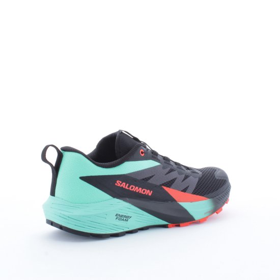 SALOMON - SENSE RIDE 5 HOMME