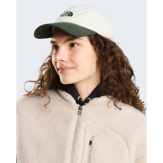 THE NORTH FACE - CASQUETTE NORM