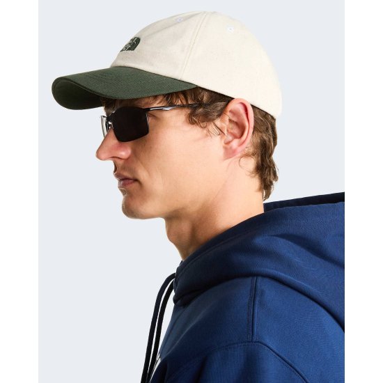 THE NORTH FACE - CASQUETTE NORM