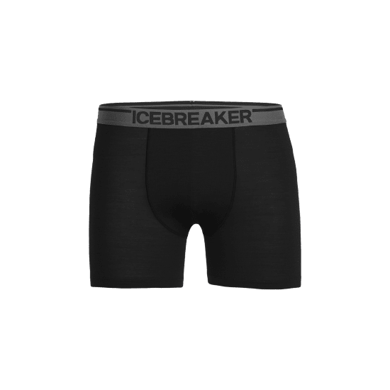 ICEBREAKER - BOXER ANATOMICA HOMME