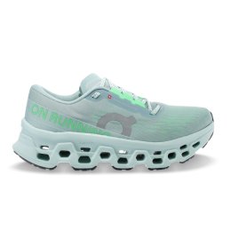 ON Cloudmonster 3 homme 10 Brook Flurry