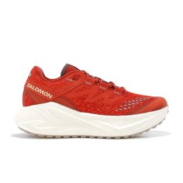 SALOMON Aero Glide 3 GRVL femme 40 2/3 Burnt Ochre/Vanilla
