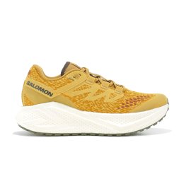 SALOMON Aero Glide 3 GRVL homme 44 Spicy Mustard/Vanill