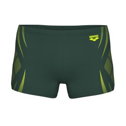 ARENA Maillot de bain Poseidonia homme 85 306 / DARK SAGE-ARTIC LIME
