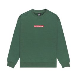 QUIKSILVER Sweat Dna homme L TKR_TREKKING GREEN