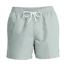 QUIKSILVER Short de bain Everyday Deluxe Volley 15" homme M GRT0_FOREST