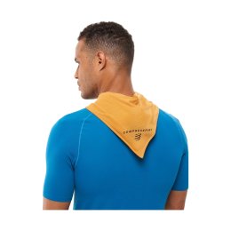 COMPRESSPORT Bandana STAYFRESH ICE Sunflower