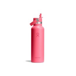 HYDRO-FLASK Gourde 21 oz (621 ml) Standard Flex Cap 21 OZ POPSTAR PINK