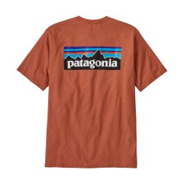 PATAGONIA T-SHIRT MANCHES COURTES P-6 LOGO RESPONSIBILI-TEE HOMME S RTLR