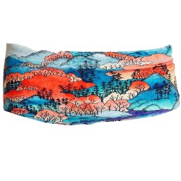 FUNKY TRUNKS MAILLOT DE BAIN CLASSIC GARÇON 12 MISTY MOUTAIN
