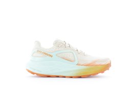 SALOMON GLIDE MAX TR HOMME 44 2/3 BLEACHED SAND / YUCC