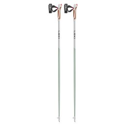 LEKI BÂTONS DE MARCHE NORDIQUE PASSION 120CM SMOKEGREEN-WHITE-DAR