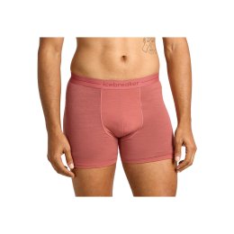 ICEBREAKER BOXER ANATOMICA HOMME L PLUME
