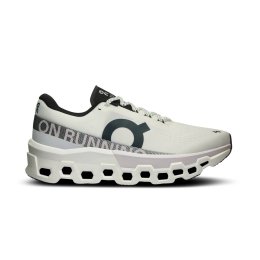 ON CLOUDMONSTER 2 HOMME 45 WHITE FROST