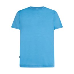 ICEBREAKER T-SHIRT A MANICHE CORTE MERINOS SPHERE II UOMO S ARCTIC