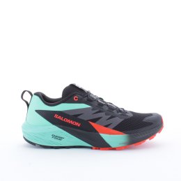 SALOMON SENSE RIDE 5 HOMME 46 BLACK/BAY/CHERRY TOM