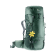 VERT MARIN/VERT FORÂ