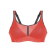 525/CORAIL