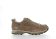 TORTORA