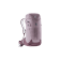 GRAPE-AUBERGINE