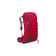 POINSETTIA RED