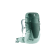 FOREST-JADE