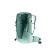 FOREST-JADE