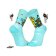 012_NHOBI LEMNISCAT