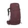 ELDERBERRY PURPLE