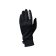 GANTS WP