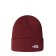 BONNET NORM