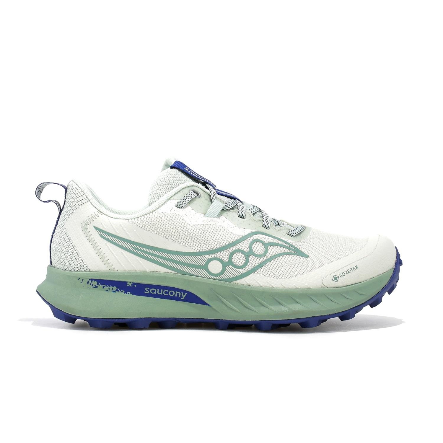 Saucony Peregrine 15 GTX — Coloris 1
