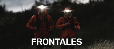 FRONTALES
