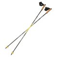 Bâtons Running Poles Carbon Z Fixed - SILVA