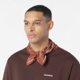 Bandana Graphic - SALOMON