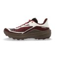 Genesis 2 homme - SALOMON