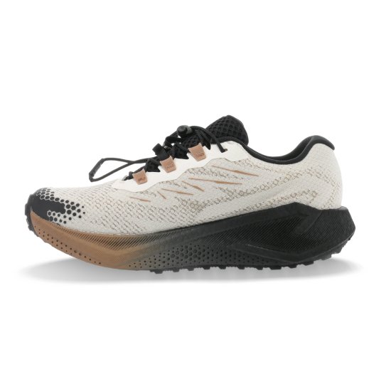 SALOMON - Aero Blaze 4 GRVL Gore-Tex homme