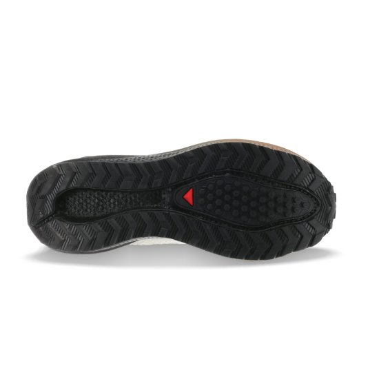 SALOMON - Aero Blaze 4 GRVL Gore-Tex homme