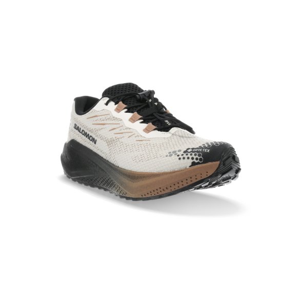 SALOMON - Aero Blaze 4 GRVL Gore-Tex homme