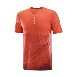 SALOMON T-shirt S/Lab Ultra AOP homme M BURNT SIENNA/DECADEN