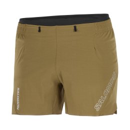 SALOMON SHORT SENSE AERO 5" HOMME M PLANTATION/