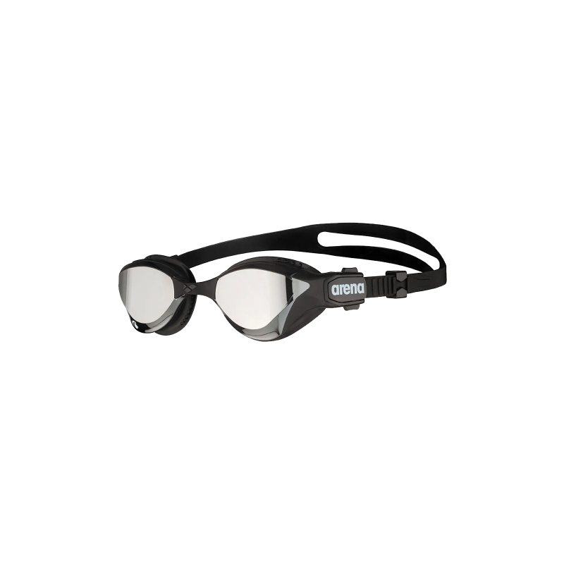Arena UNISEX CLASSIC - Accessoire de natation - black/silver/noir 