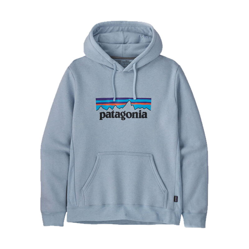 hoodie patagonia homme